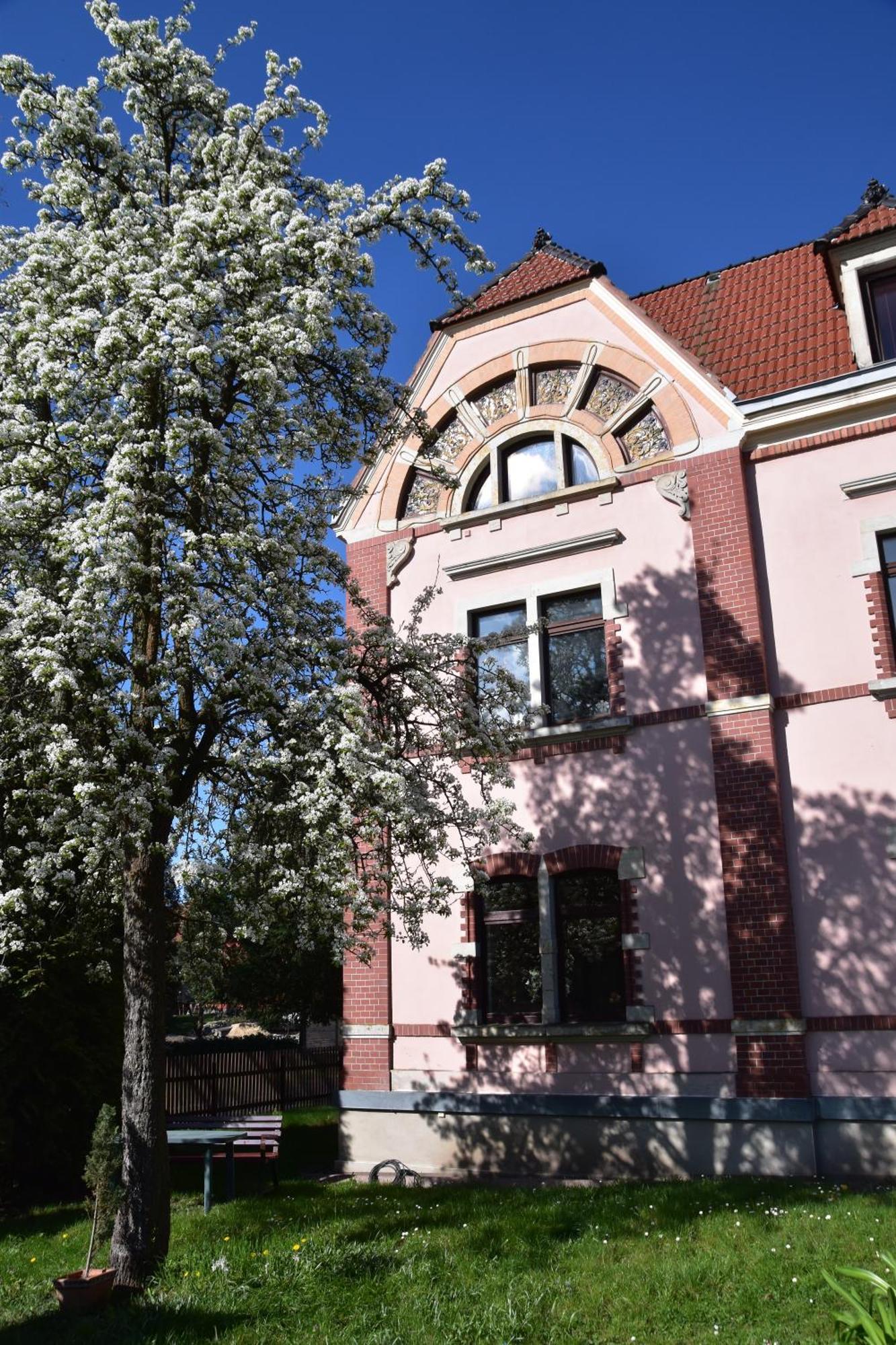 Konigsbruck Ferienwohnung Und Pension "Zur Aue" מראה חיצוני תמונה